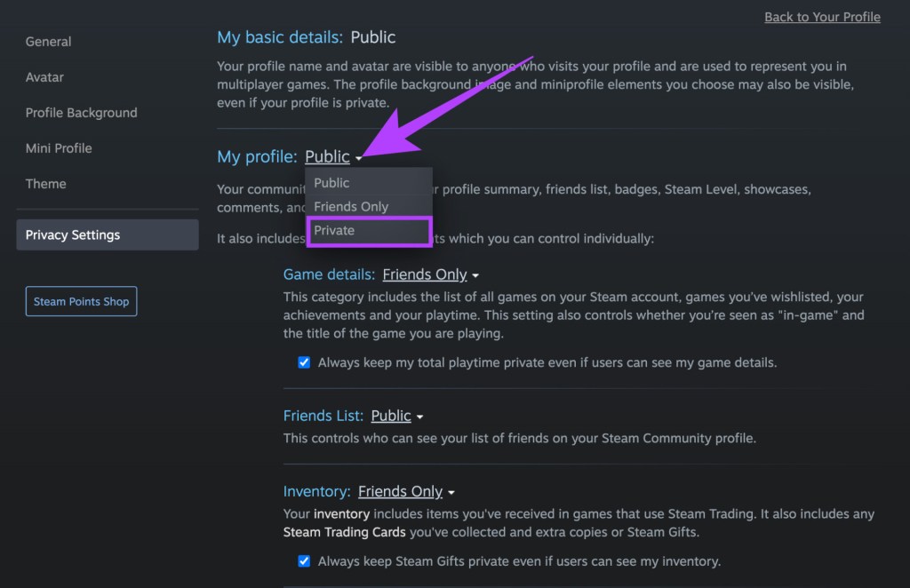 How to Hide What Game You're Playing On Steam - Guiding Tech